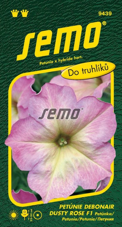 Petunie mnohokvětá Debonair Dusty Rose F1 - růžovo-žlutá (Semo)