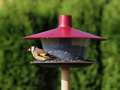 Krmítko pro venkovní ptactvo Finch (vínová barva, ptáci)