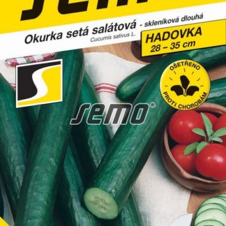 Okurka setá salátová Tribute F1 - hadovka, skleníková, dlouhá (Semo)