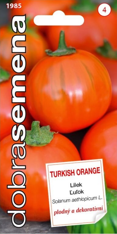 Lilek etiopský Turkish Orange - mini, oranžový (Dobrasemena)