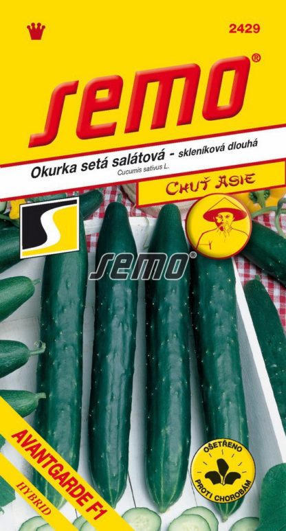 Okurka setá salátová Avantgarde F1 - hadovka, skleníková, dlouhá (Semo)