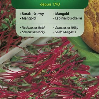 Mangold - semena na klíčky (Vilmorin)