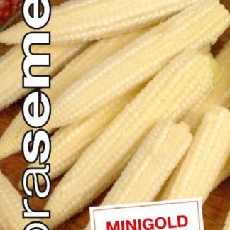 Kukuřice cukrová Minigold - MINI, k nakládání (Dobrasemena)