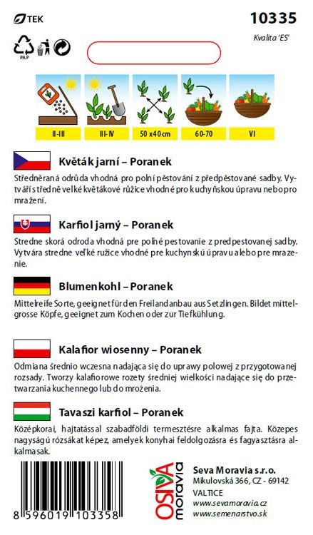 Květák Poranek - poloraný, jarní (pěstování)