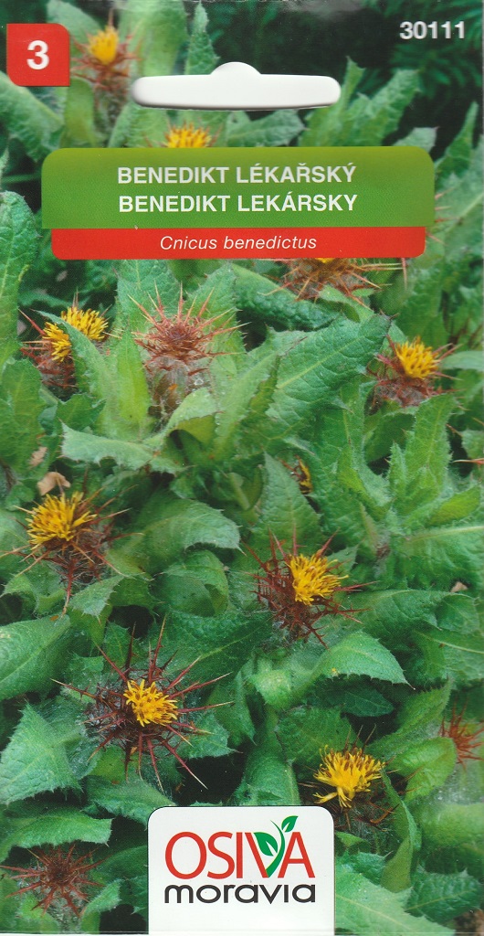 Benedikt lékařský - léčivý bodlák (Osiva Moravia) Benedikt lékařský - léčivý bodlák (Osiva Moravia)