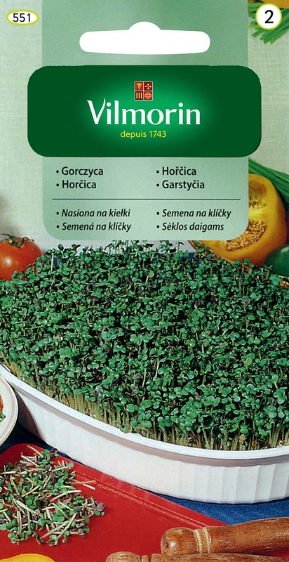 Hořčice - semena na klíčky (Vilmorin)