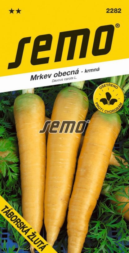 Mrkev obecná Táborská žlutá - krmná (Semo)