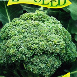 Brokolice Calabrese (Zelseed)