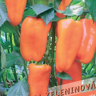 Paprika zeleninová Amálka - sladká, oranžová (Libera)