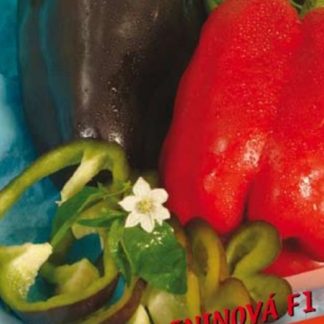 Paprika zeleninová Fantazia F1 - obdélníková, fialovo-červená (Libera)