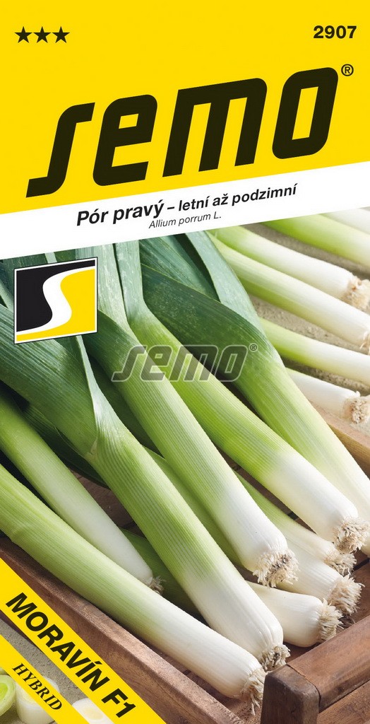Pór pravý Moravín F1 - letní až podzimní (Semo) Pór pravý Moravín F1 - letní až podzimní (Semo)