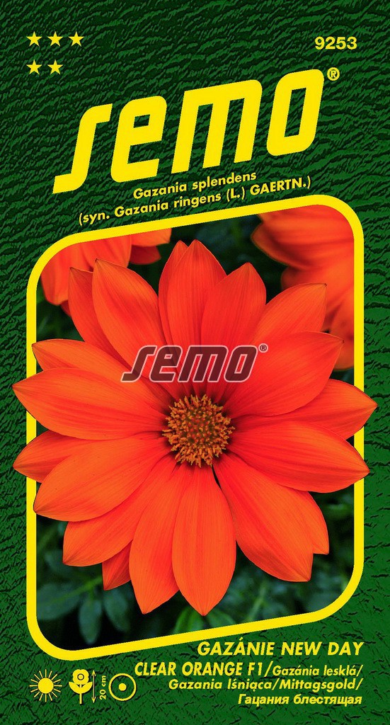 Gazánie zářivá New Day Clear Orange F1 - oranžová (Semo) Gazánie zářivá New Day Clear Orange F1 - oranžová (Semo)