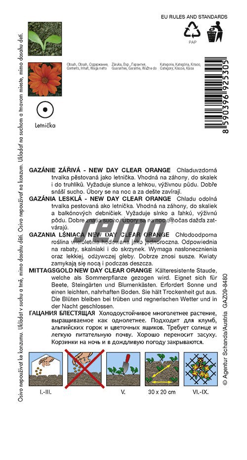 Gazánie zářivá New Day Clear Orange F1 - oranžová (pěstování) Gazánie zářivá New Day Clear Orange F1 - oranžová (pěstování)