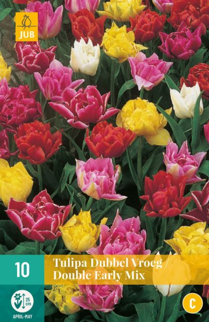 Tulipán Double Early Mix (7 cibulí, směs, karta)
