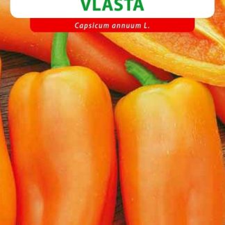 Paprika zeleninová Vlasta - sladká, žlutooranžová (Osiva Moravia)