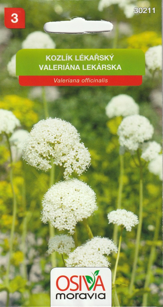 Kozlík lékařský (Osiva Moravia) Kozlík lékařský (Osiva Moravia)