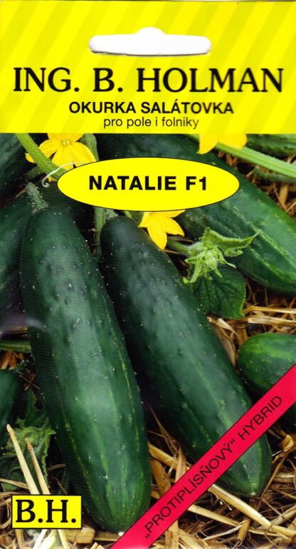 Okurka salátovka Natalie F1 - pro pole i skleníky, odolná chladu a plísni (Holman)