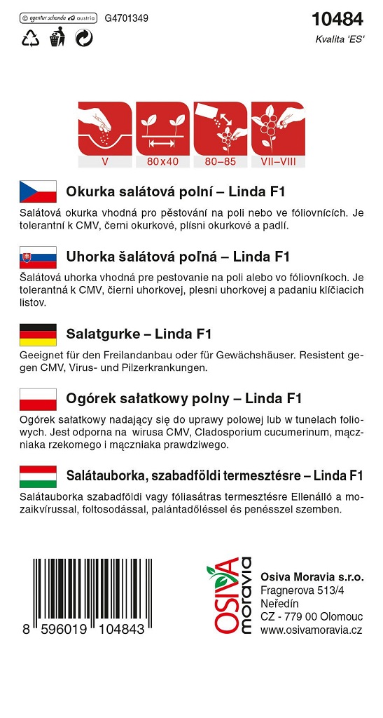 Okurka salátová Linda F1 - polní, odolná chladu a plísni (pěstování) Okurka salátová Linda F1 - polní, odolná chladu a plísni (pěstování)