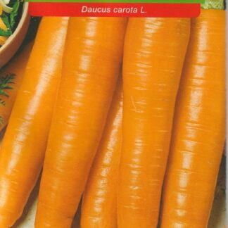 Mrkev krmná - oranžová (Osiva Moravia)