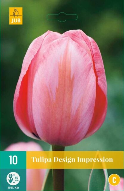 Tulipán Design Impression (10 cibulí, oranžovo-růžový, karta)