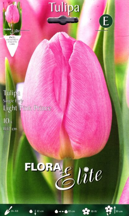 Tulipán Light Pink Prince (10 cibulí, světle růžový, karta)