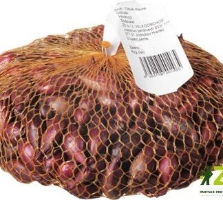 Cibule sazečka Karmen - červená, 250 g (ZC)