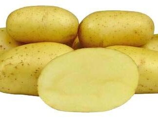 Sadbové brambory Colette - velmi rané, varný typ A, 5 kg (BIOM)