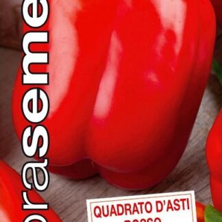 Paprika roční Quadrato d'Asti Rosso - červená, kvadratická (Dobrasemena)