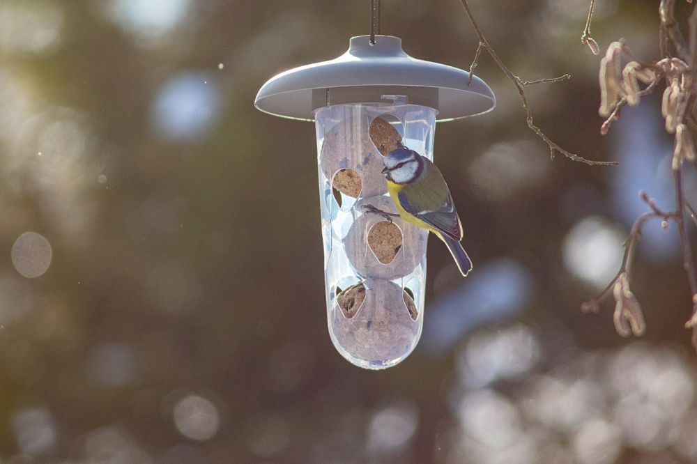 Krmítko a pítko pro venkovní ptactvo Robin - sada 3v1, antracitová barva, zásobník na lojové koule (ptáci) Krmítko a pítko pro venkovní ptactvo Robin - sada 3v1, antracitová barva, zásobník na lojové koule (ptáci)