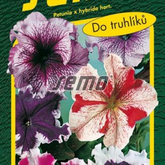Petúnie Superbissima - dvoubarevná směs, obří květy (Semo)