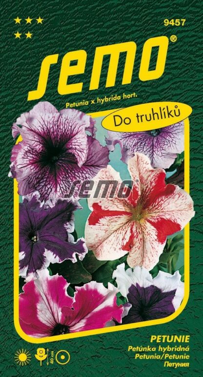 Petúnie Superbissima - dvoubarevná směs, obří květy (Semo)