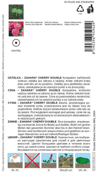 Ostálka marylandská Zahara Cherry Double - zářivě červená (pěstování)