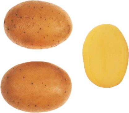 Sadbové brambory Vysočina - rané, varný typ A/B, 5 kg (BIOM)