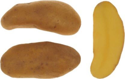 Sadbové brambory Keřkovské rohlíčky - polorané, salátové, varný typ A, 2 kg (BIOM)