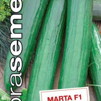 Okurka salátová Marta F1 - skleníková, dlouhá hadovka (Dobrasemena)