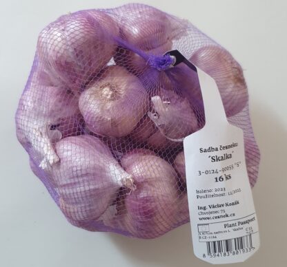 Česnek sadbový Skalka - výrazně fialový, ozimý, paličák (16 cibulí)