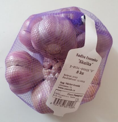 Česnek sadbový Skalka - výrazně fialový, ozimý, paličák (8 cibulí)