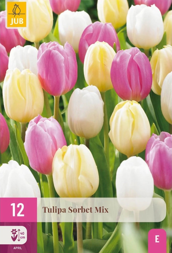 Tulipán Sorbet Mix (12 cibulí, směs, XXL karta) Tulipán Sorbet Mix (12 cibulí, směs, XXL karta)