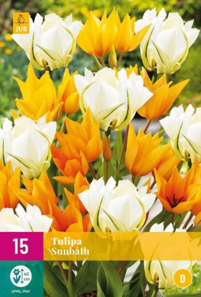 Tulipán Sunbath (15 cibulí, směs, XXL karta)
