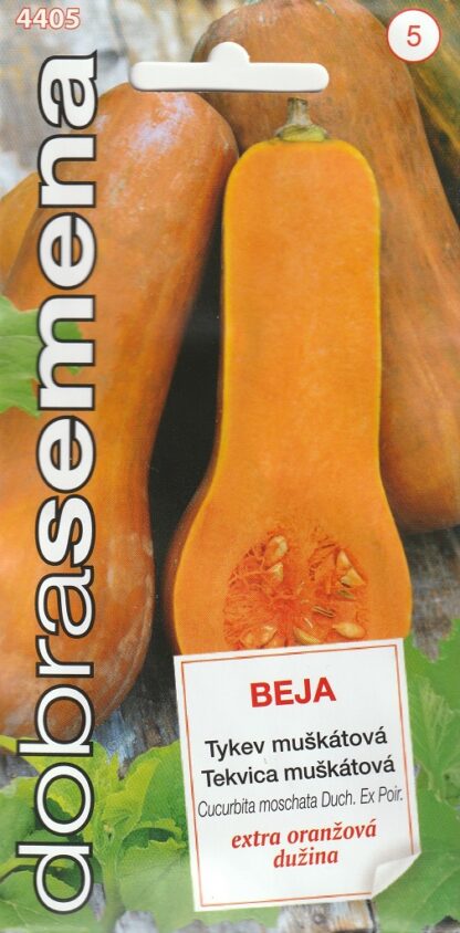 Tykev muškátová (máslová) Beja - maďarská, oranžová (Dobrasemena)
