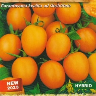 Rajče tyčkové Orano F1 - koktejlové, oranžové (MoravoSeed)