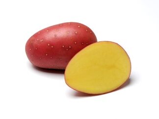 Sadbové brambory Laura - polorané, červené, odolné plísni, varný typ B, 5 kg (BIOM)