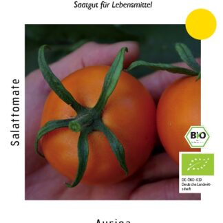 Rajče tyčkové Auriga - salátové, pomerančové, BIO (CULINARIS)