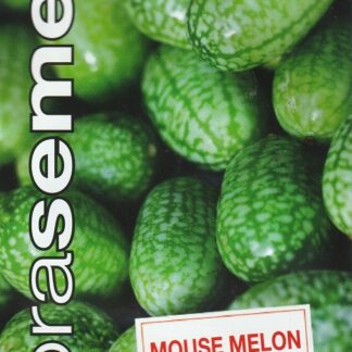 Mexická okurka Mouse Melon - drobné plody, k zavařování (Dobrasemena)