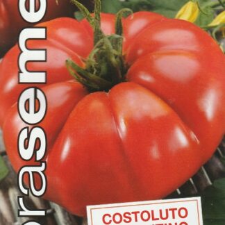 Rajče tyčkové Costoluto Fiorentino - italské, žebernaté (Dobrasemena)