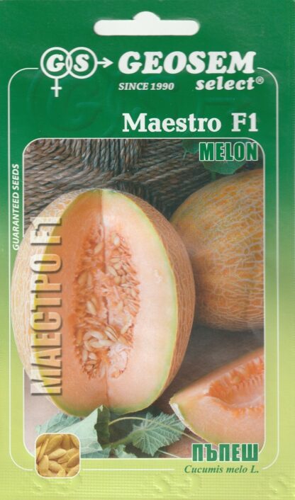 Meloun cukrový Maestro F1 - bulharský, oválný, oranžový (GEOSEMselect)