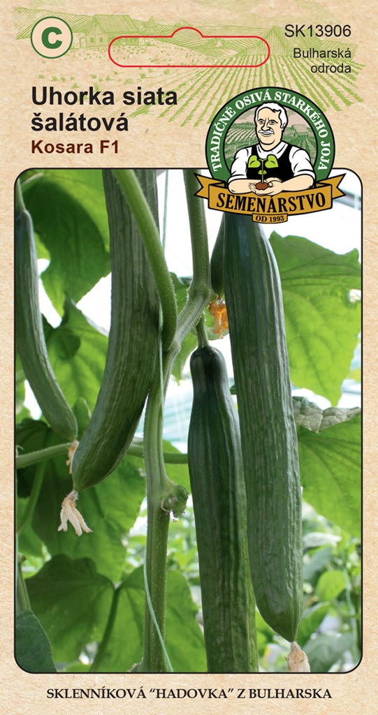 Okurka salátová Kosara F1 - bulharská, skleníková, hadovka, dlouhá (GEOSEMselect) Okurka salátová Kosara F1 - bulharská, skleníková, hadovka, dlouhá (GEOSEMselect)
