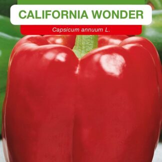 Paprika zeleninová California Wonder - sladká, kvadratická, tmavězelená-tmavěčervená (Osiva Moravia)