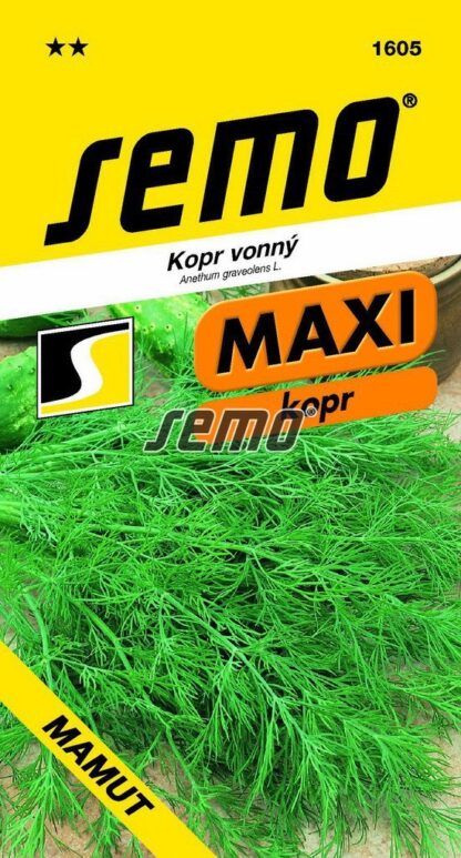 Kopr vonný Mamut - vysoký, MAXI (Semo)