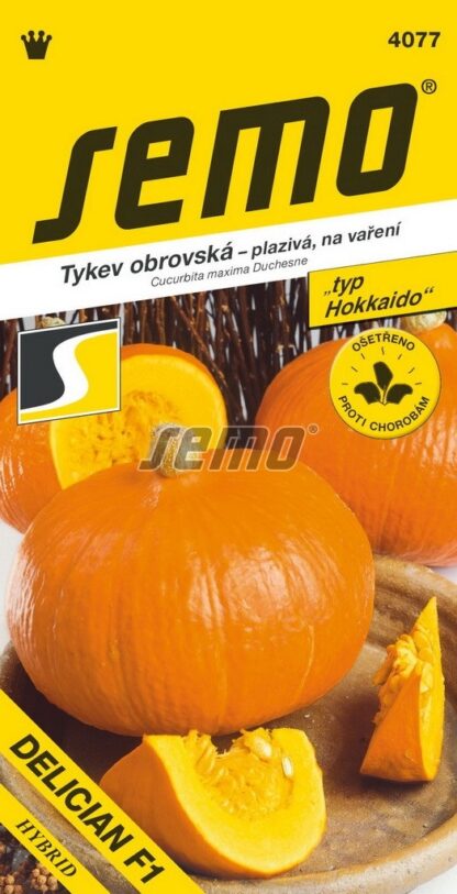 Tykev velkoplodá Delician F1 - plazivá, Hokkaido (Semo)